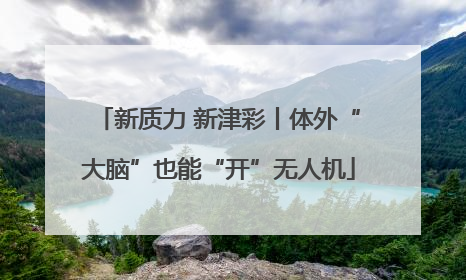新质力 新津彩丨体外“大脑”也能“开”无人机