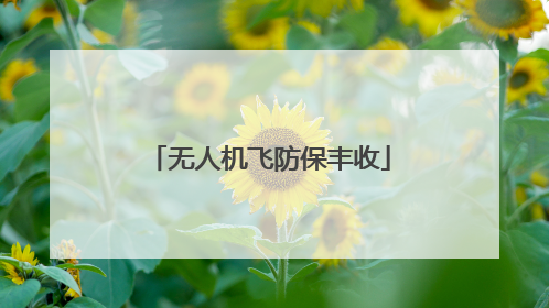 无人机飞防保丰收