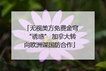 无视美方免费金穹“诱惑” 加拿大转向欧洲谋国防合作