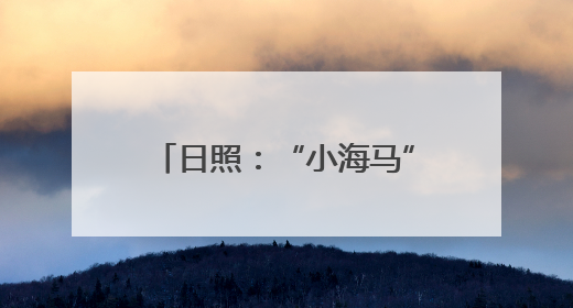 日照：“小海马”游向“大天地”
