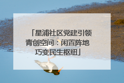 星浦社区党建引领青创空间：闲置阵地巧变民生枢纽