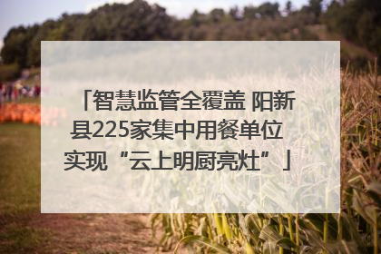 智慧监管全覆盖 阳新县225家集中用餐单位实现“云上明厨亮灶”