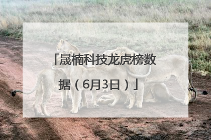 晟楠科技龙虎榜数据（6月3日）