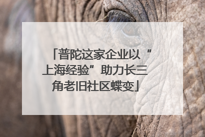普陀这家企业以“上海经验”助力长三角老旧社区蝶变