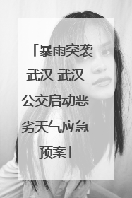 暴雨突袭武汉 武汉公交启动恶劣天气应急预案