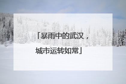 暴雨中的武汉，城市运转如常