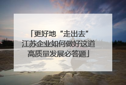 更好地“走出去” 江苏企业如何做好这道高质量发展必答题