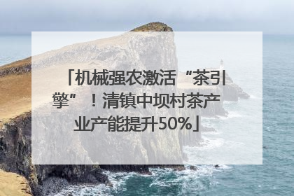 机械强农激活“茶引擎”！清镇中坝村茶产业产能提升50%