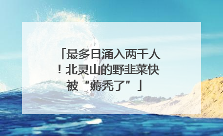 最多日涌入两千人！北灵山的野韭菜快被“薅秃了”
