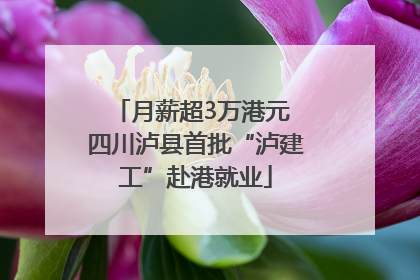 月薪超3万港元 四川泸县首批“泸建工”赴港就业