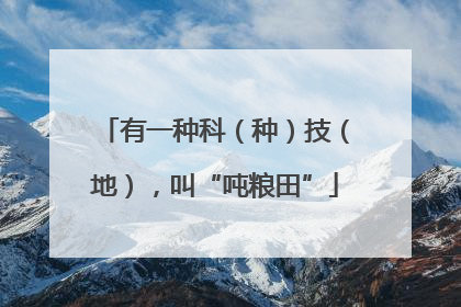 有一种科（种）技（地），叫“吨粮田”