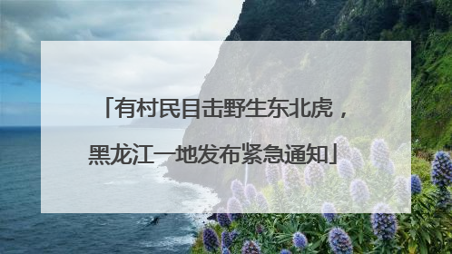 有村民目击野生东北虎，黑龙江一地发布紧急通知