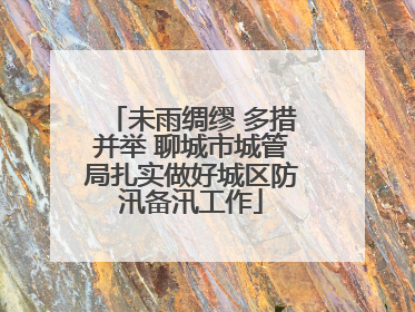 未雨绸缪 多措并举 聊城市城管局扎实做好城区防汛备汛工作