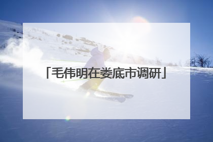 毛伟明在娄底市调研