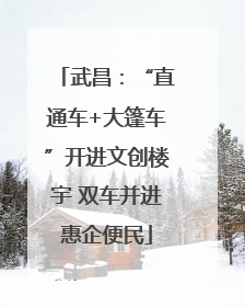 武昌：“直通车+大篷车”开进文创楼宇 双车并进惠企便民