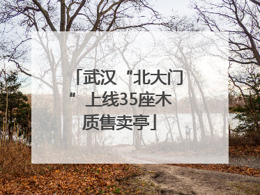 武汉“北大门”上线35座木质售卖亭
