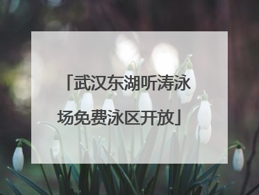 武汉东湖听涛泳场免费泳区开放