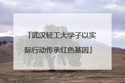 武汉轻工大学子以实际行动传承红色基因