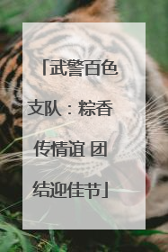 武警百色支队：粽香传情谊 团结迎佳节