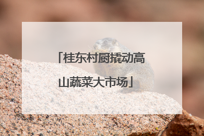 桂东村厨撬动高山蔬菜大市场