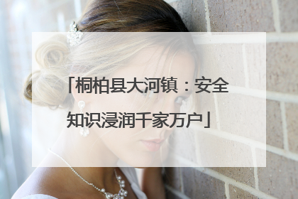 桐柏县大河镇：安全知识浸润千家万户