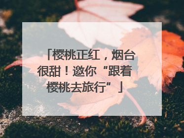 樱桃正红，烟台很甜！邀你“跟着樱桃去旅行”