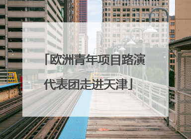 欧洲青年项目路演代表团走进天津
