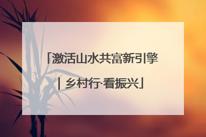 激活山水共富新引擎｜乡村行·看振兴