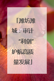 潍坊潍城：审计“利剑”护航高质量发展
