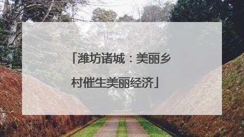 潍坊诸城：美丽乡村催生美丽经济
