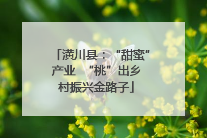 潢川县：“甜蜜”产业  “桃”出乡村振兴金路子
