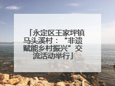 永定区王家坪镇马头溪村：“非遗赋能乡村振兴”交流活动举行