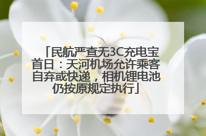 民航严查无3C充电宝首日：天河机场允许乘客自弃或快递，相机锂电池仍按原规定执行