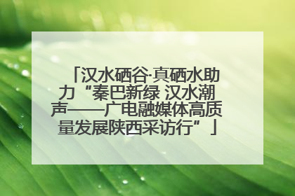 汉水硒谷·真硒水助力“秦巴新绿 汉水潮声——广电融媒体高质量发展陕西采访行”