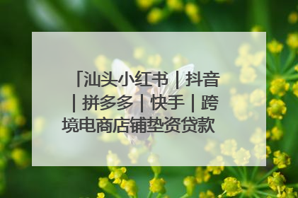 汕头小红书｜抖音｜拼多多｜快手｜跨境电商店铺垫资贷款企业-漫商易