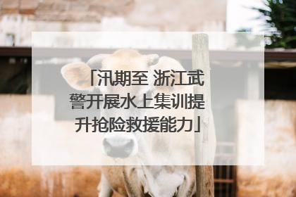 汛期至 浙江武警开展水上集训提升抢险救援能力