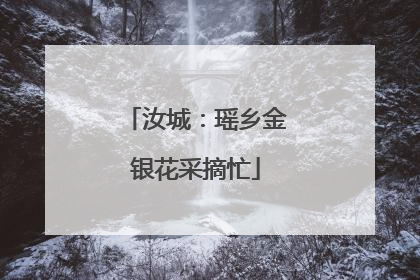 汝城：瑶乡金银花采摘忙