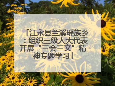 江永县兰溪瑶族乡：组织三级人大代表开展“三会三文”精神专题学习