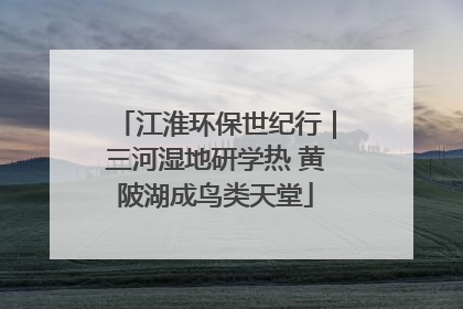江淮环保世纪行｜三河湿地研学热 黄陂湖成鸟类天堂
