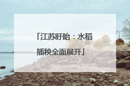 江苏盱眙：水稻插秧全面展开