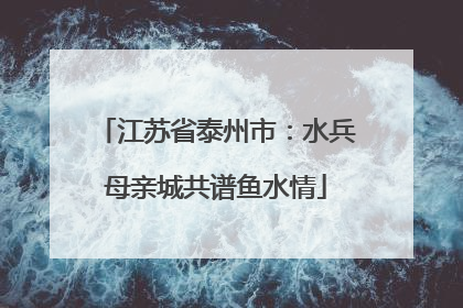 江苏省泰州市：水兵母亲城共谱鱼水情