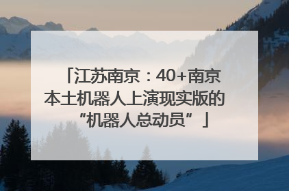 江苏南京：40+南京本土机器人上演现实版的“机器人总动员”