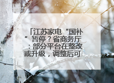 江苏家电“国补”暂停？省商务厅：部分平台在整改或升级，调整后可正常使用