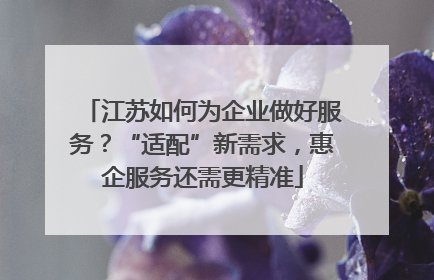 江苏如何为企业做好服务？“适配”新需求，惠企服务还需更精准