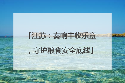 江苏：奏响丰收乐章，守护粮食安全底线