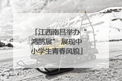 江西南昌举办“鸿鹄展” 展现中小学生青春风貌