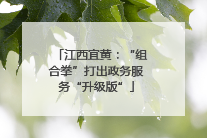 江西宜黄：“组合拳”打出政务服务“升级版”