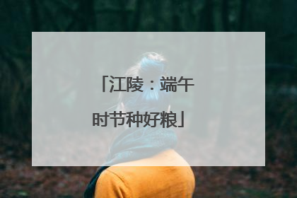 江陵：端午时节种好粮