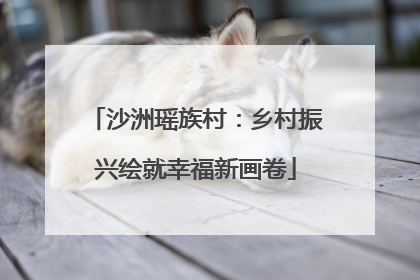 沙洲瑶族村：乡村振兴绘就幸福新画卷
