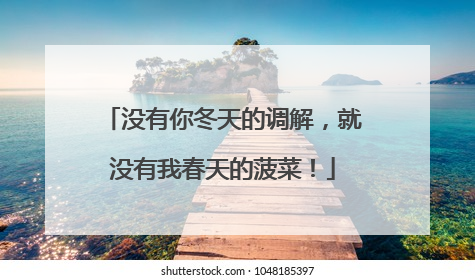 没有你冬天的调解，就没有我春天的菠菜！